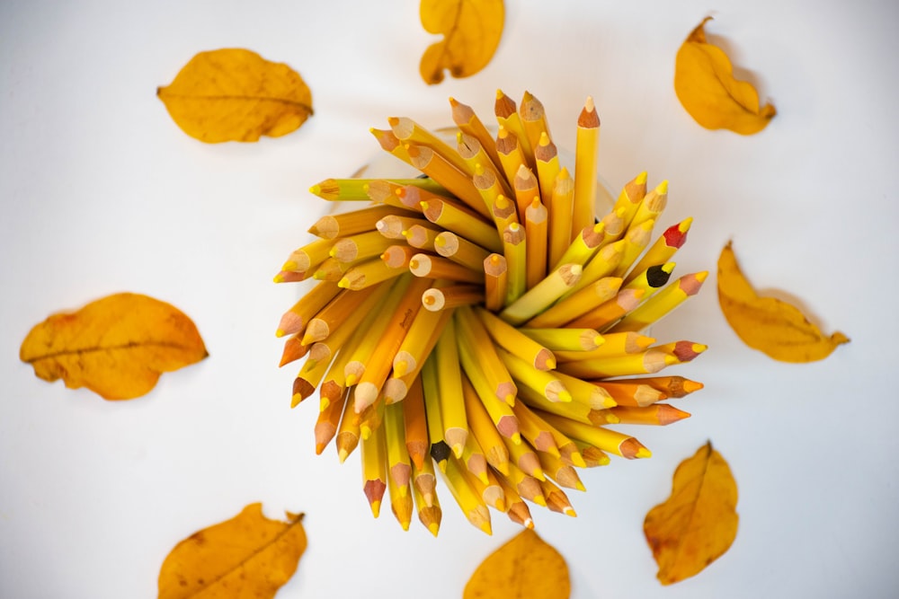 yellow leaves on white surface