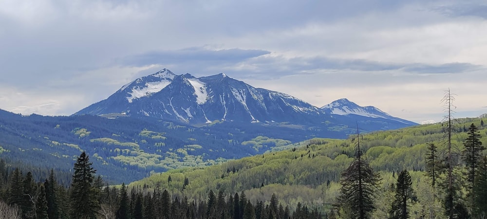 green trees near snow covered mountain during daytime