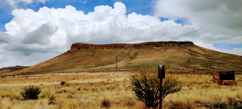 brown grass field under white clouds and blue sky during daytime