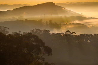 Golden hour light bathing the rolling hills and pine forests around Mussoorie.