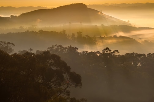 A serene landscape at golden hour with soft light illuminating rolling hills.