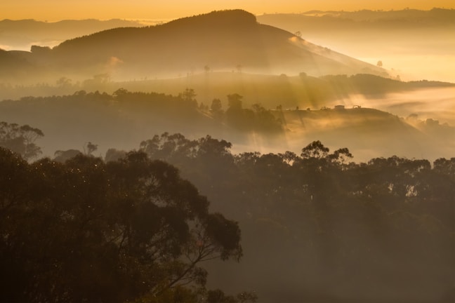 A serene landscape shot at golden hour with soft light illuminating rolling hills.