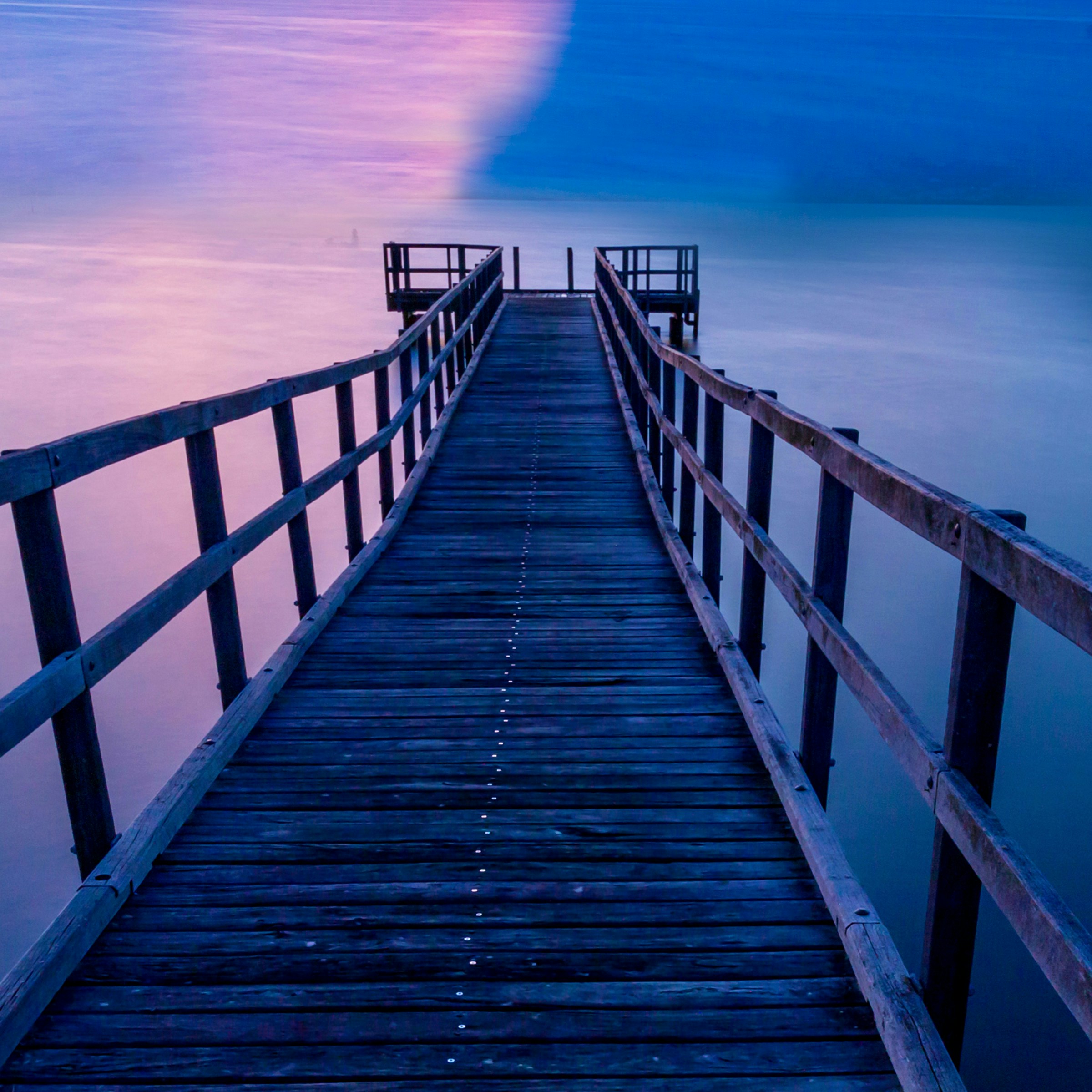 Photo by hdissanayaka