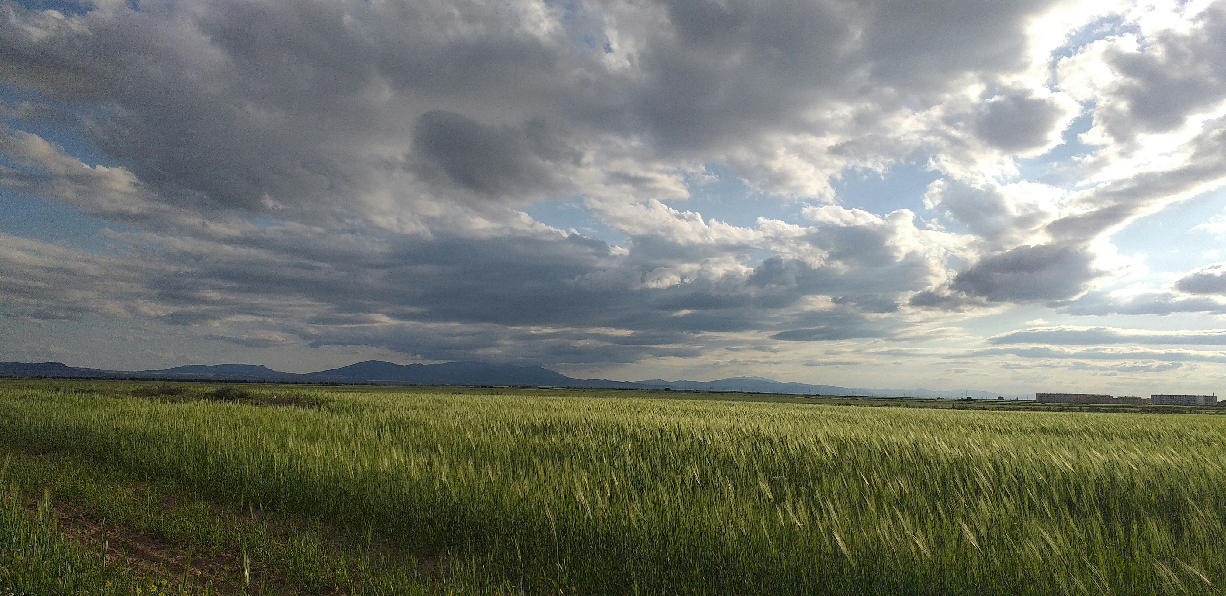 Photo by koningazraelxo