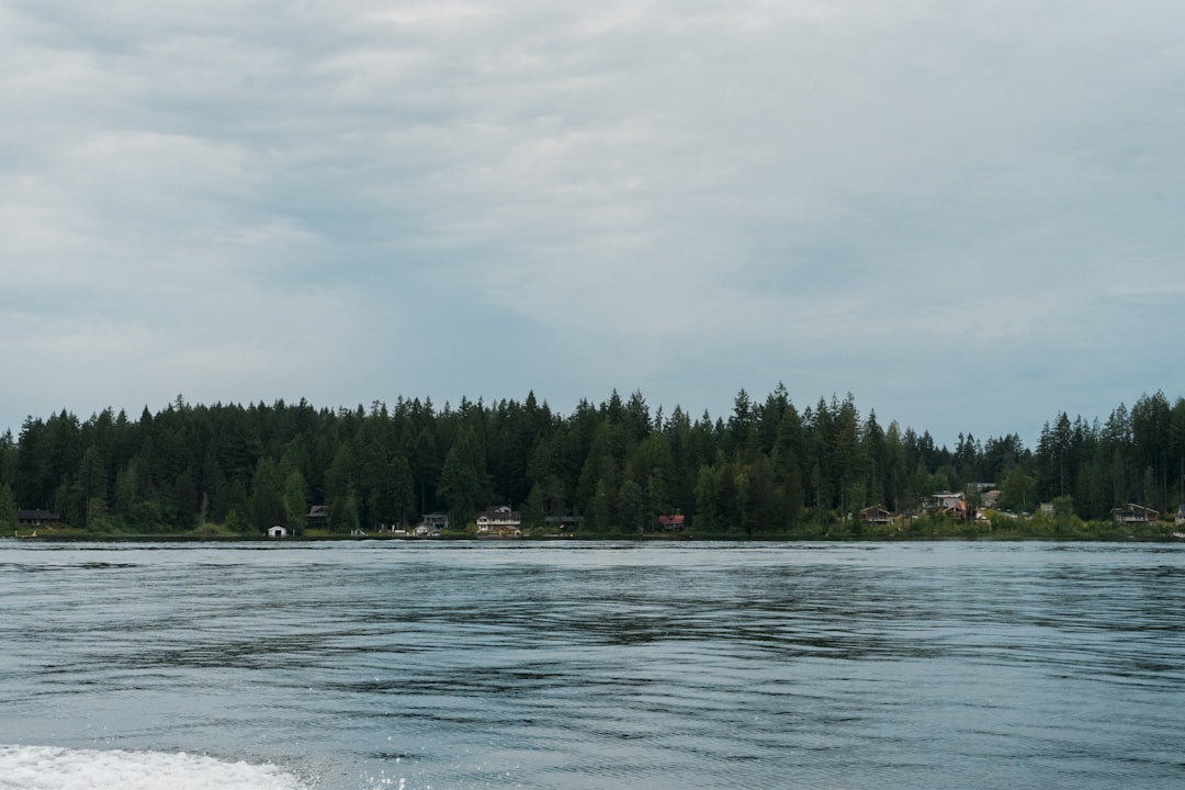 photo of Shawnigan Lake River near Cowichan Lake