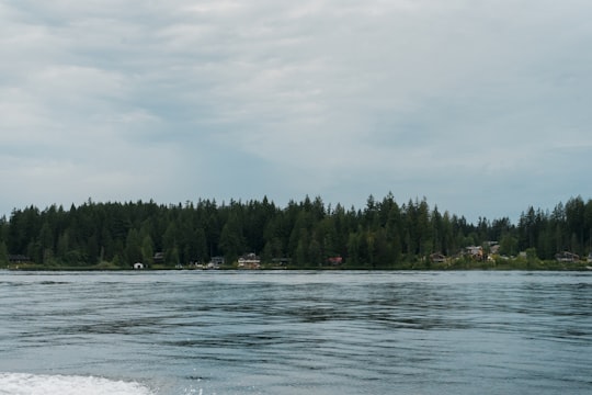 green trees beside body of water under white clouds during daytime in Shawnigan Lake Canada