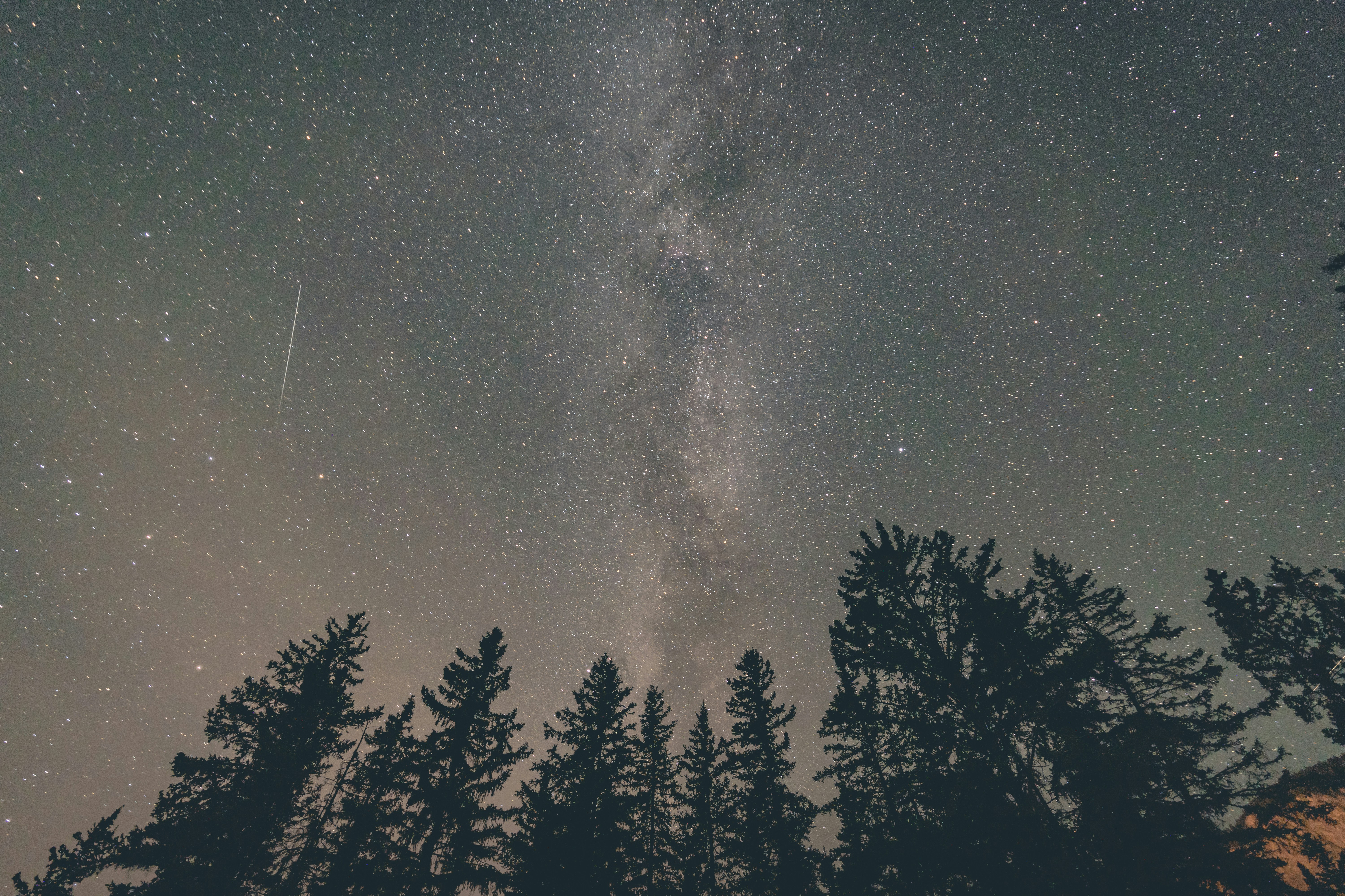 Photo by jyuphotography