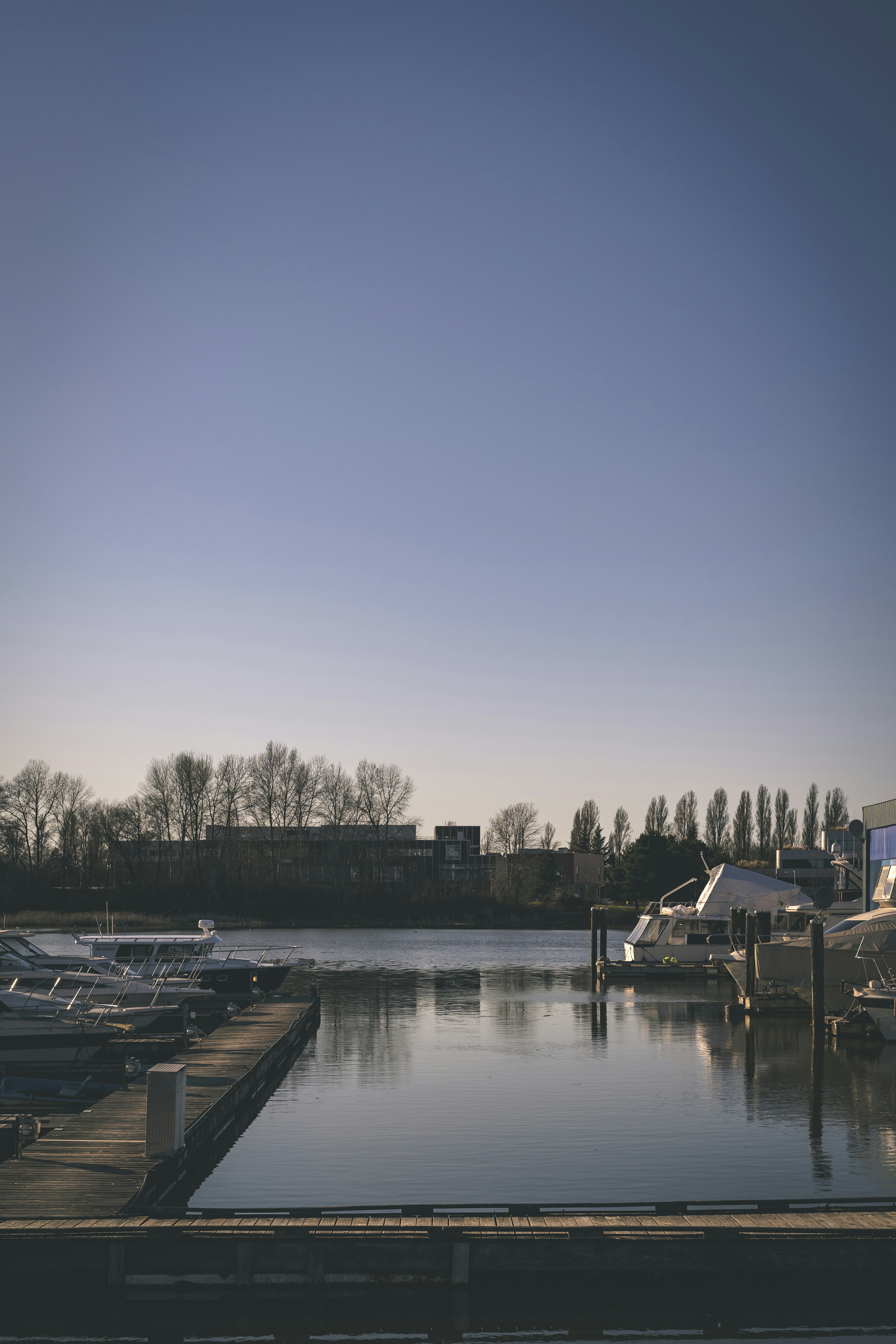 Photo by jyuphotography