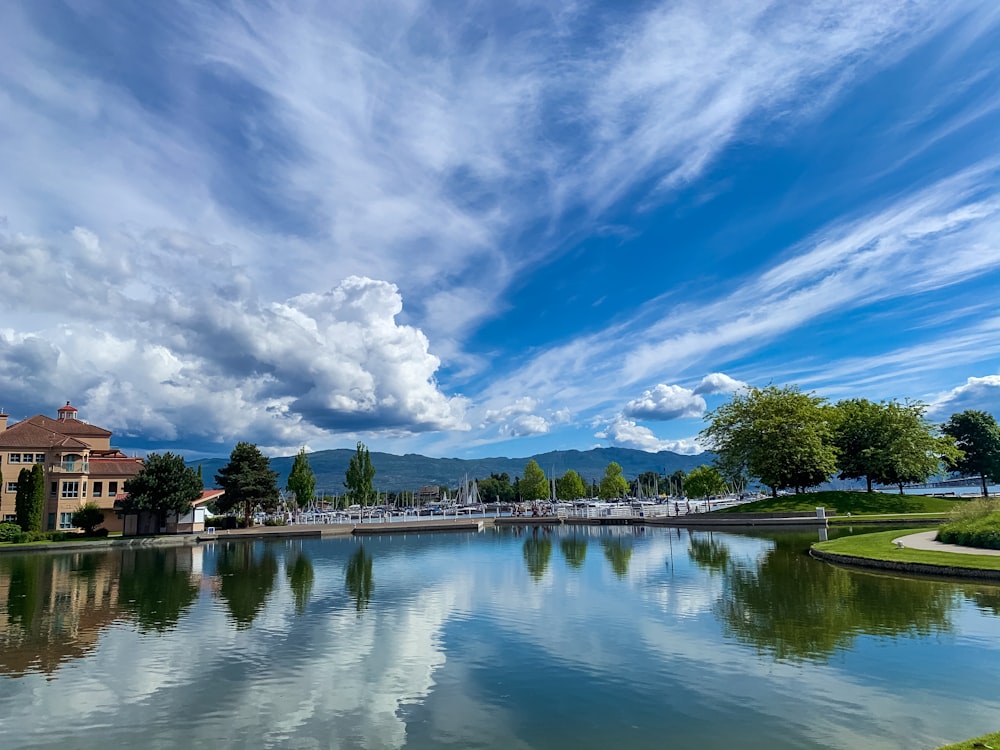 green trees near body of water under blue sky and white clouds during daytime