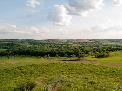 green grass field under white clouds during daytime prairie zoom background