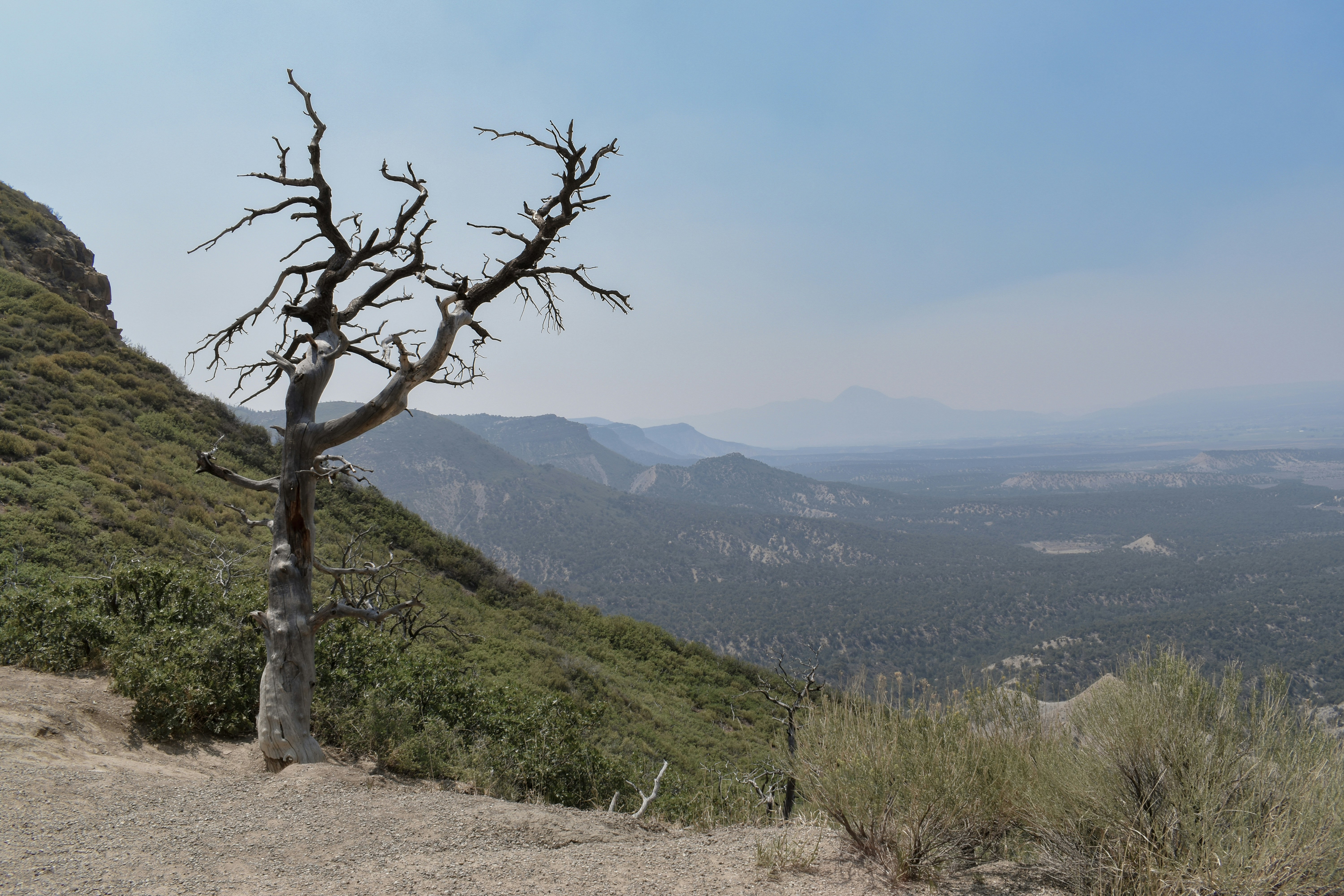 Mesa Verde National Park