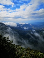 green trees on mountain under white clouds during daytime