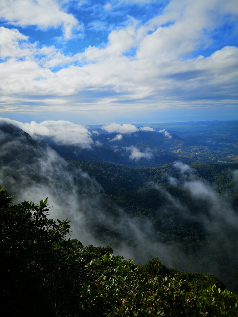 green trees on mountain under white clouds during daytime