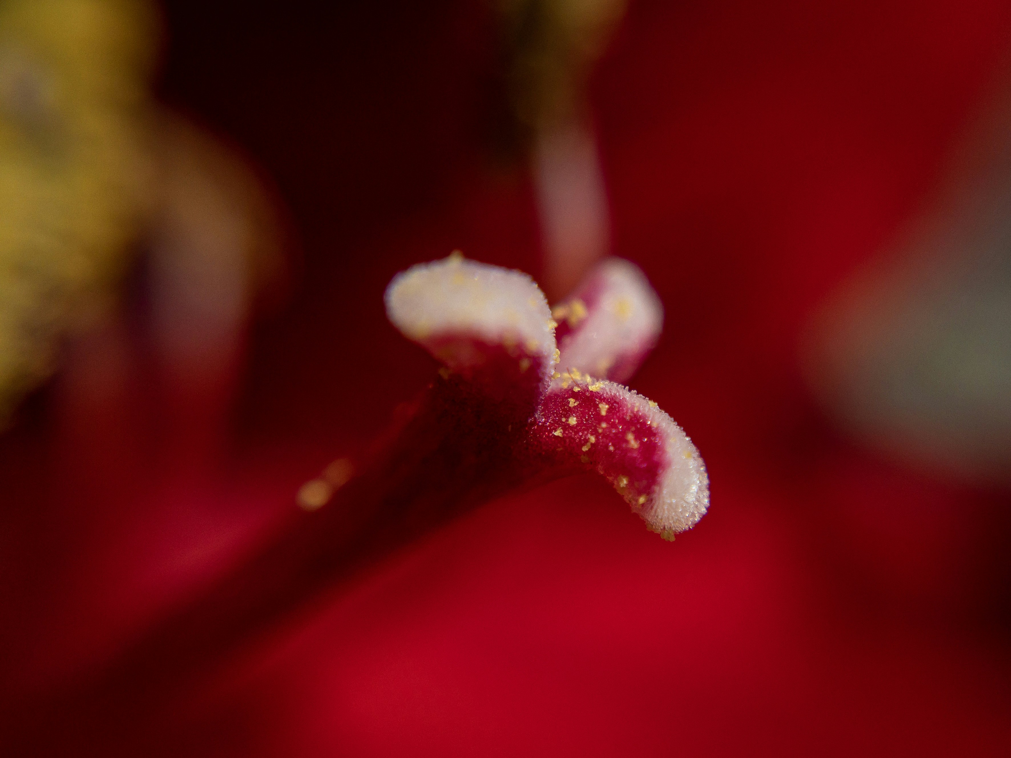 Photo by salberto2000