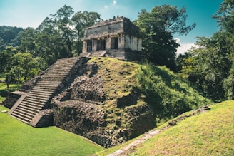 An ancient stone structure, resembling a Mayan temple, stands prominently amid dense vegetation. The building features steep stairs leading up to a small, partially ruined temple atop a rectangular pyramid platform. Surrounding the structure are lush green grasses and tall trees, creating a serene and secluded atmosphere.
