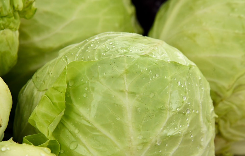 green leaf vegetable in close up photography