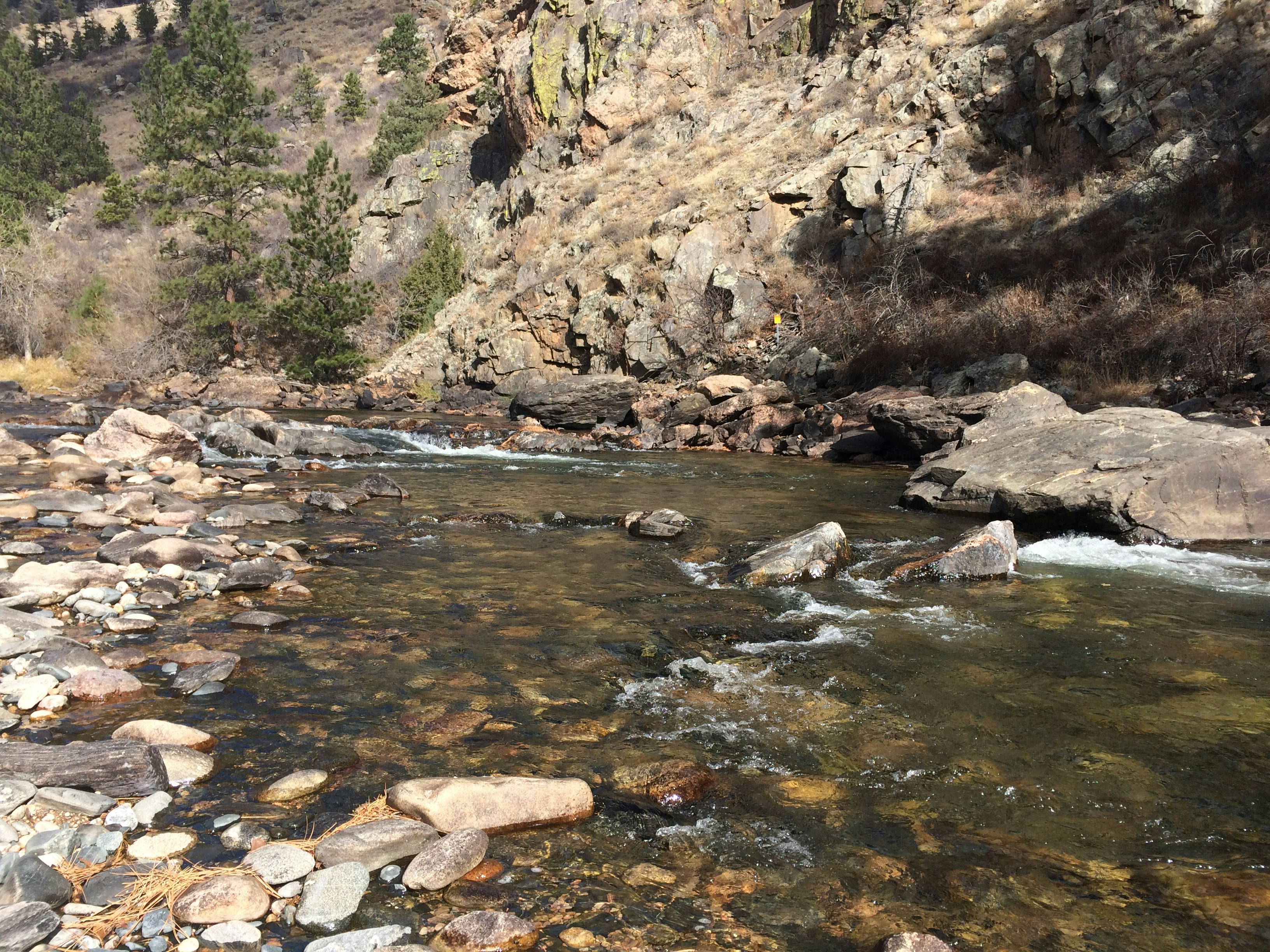 Cache la Poudre River Colorado