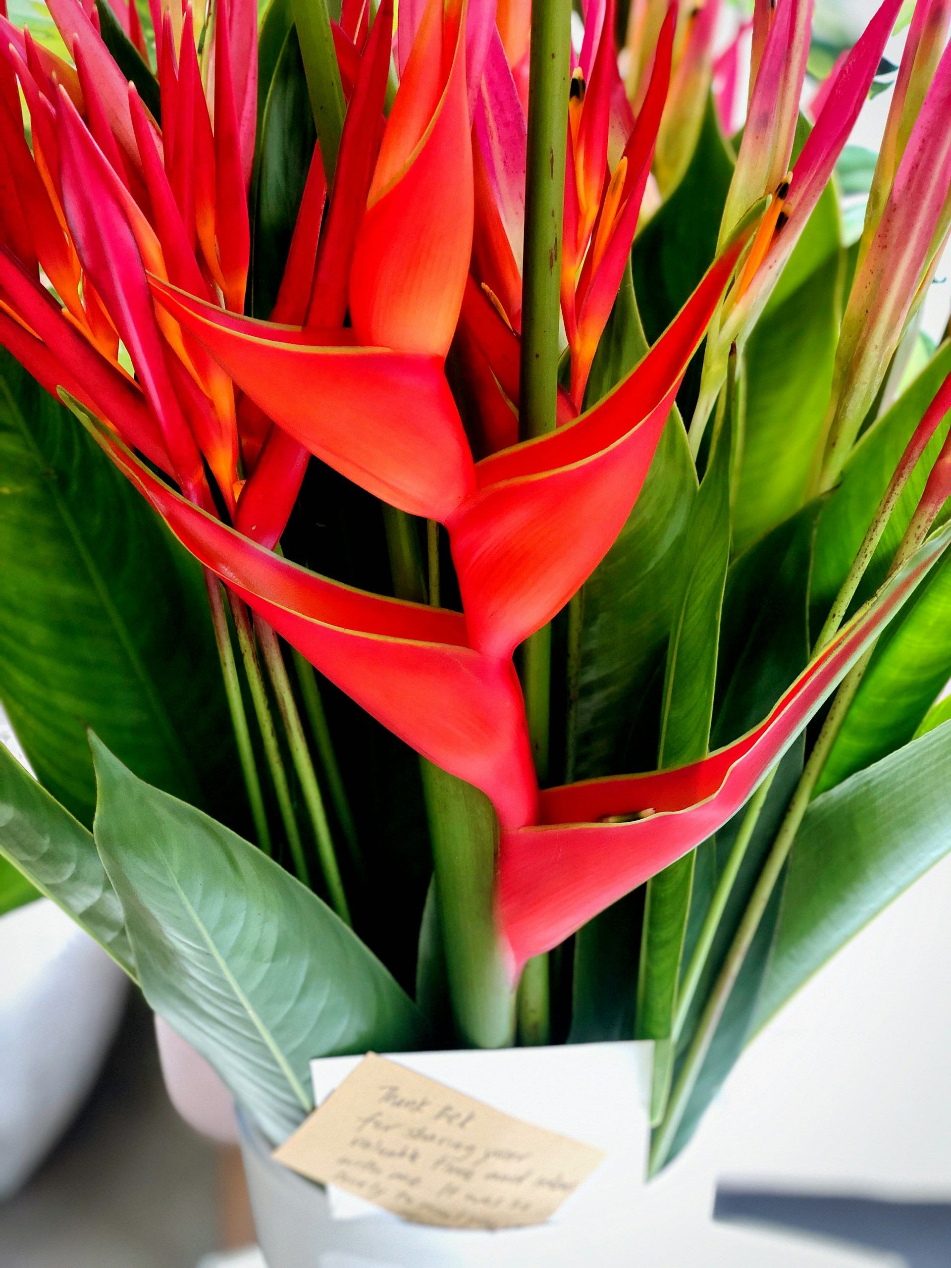 gray computer monitor