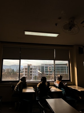 people sitting on chair near window