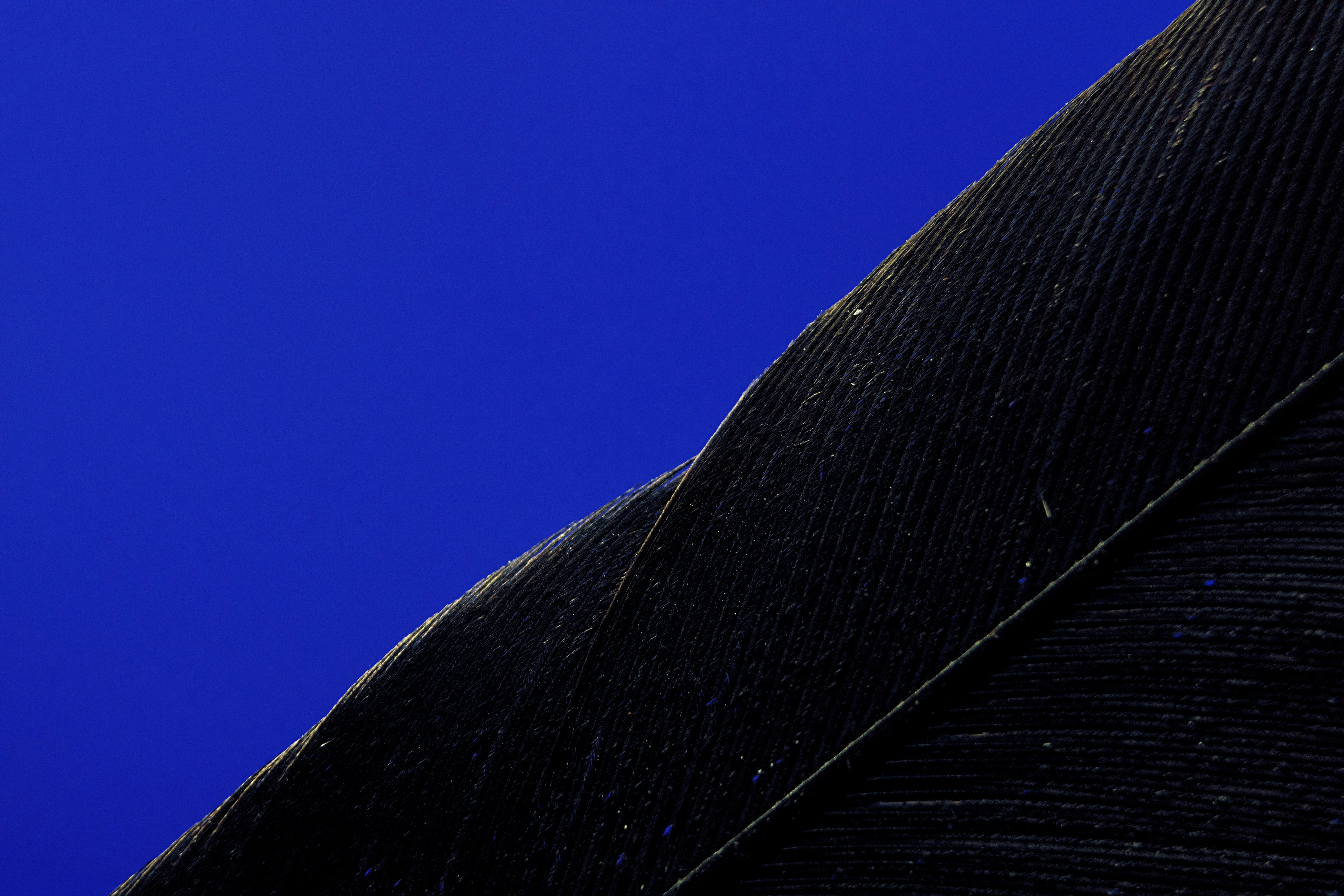 Photo by picsbyjameslee