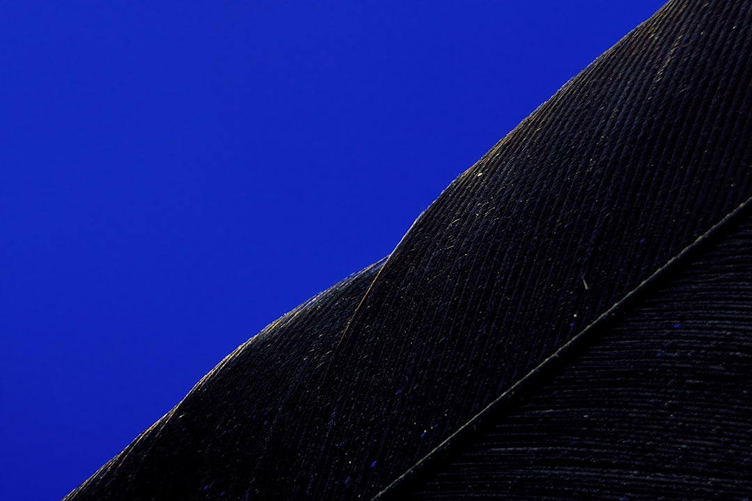 black textile under blue sky during daytime