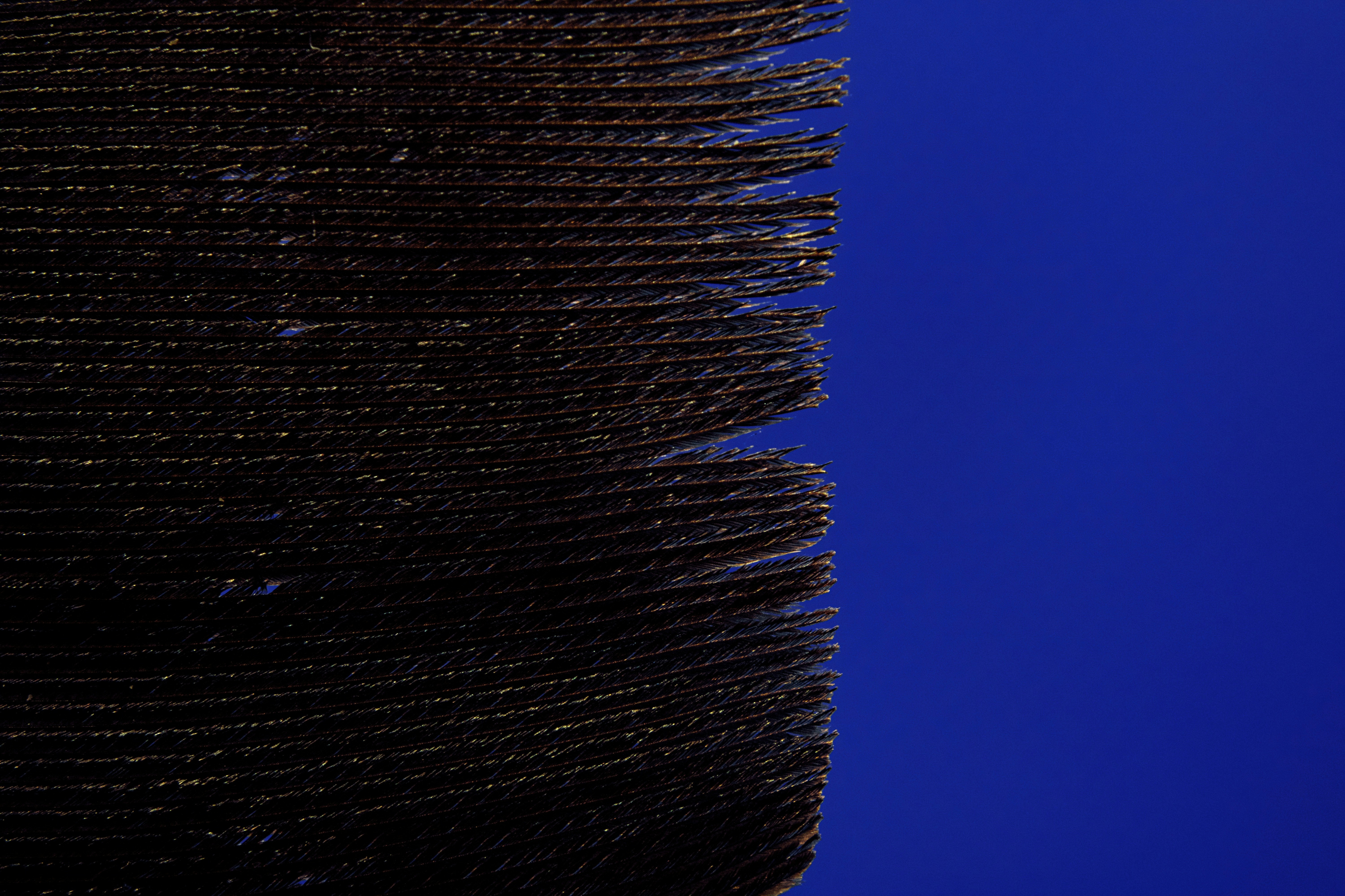 Photo by picsbyjameslee