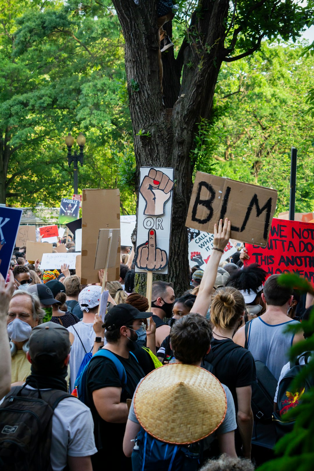 people holding a signage during daytime