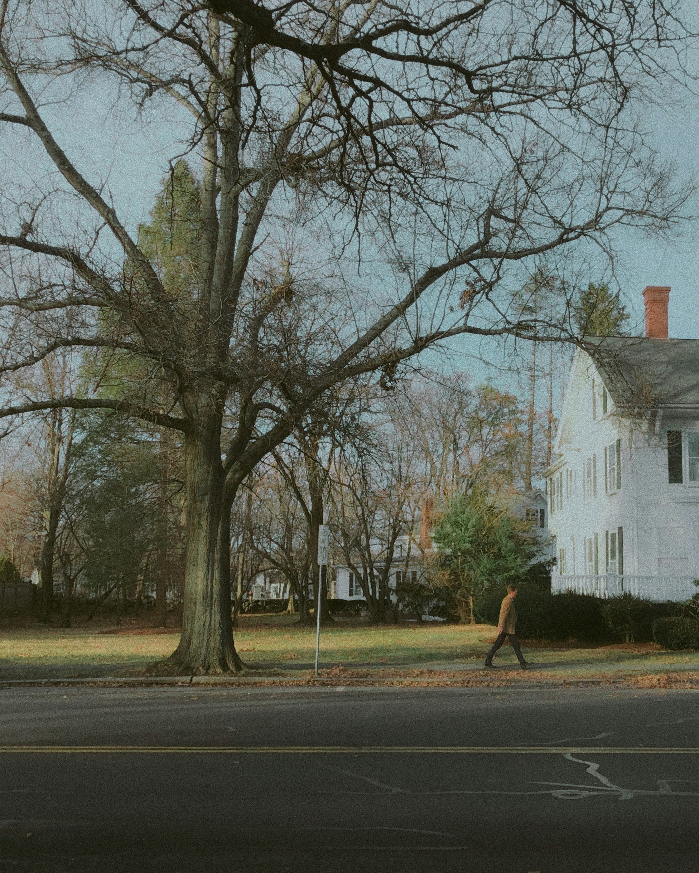 Photo by yiquanzhang