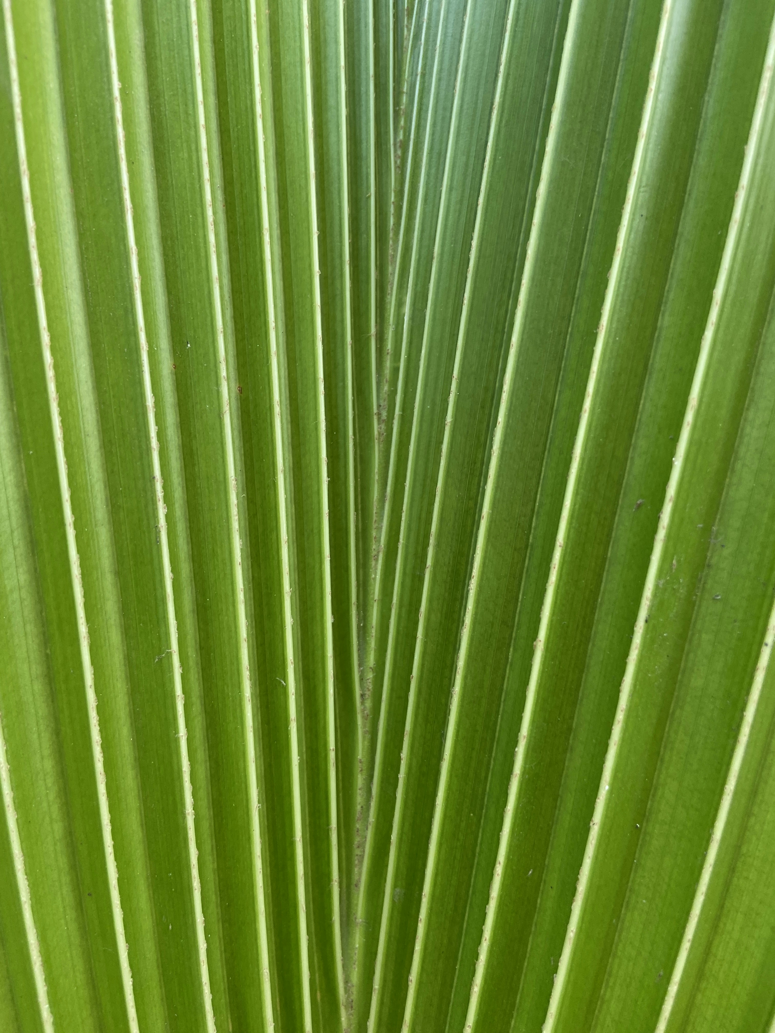 Photo by swapnil_vasave