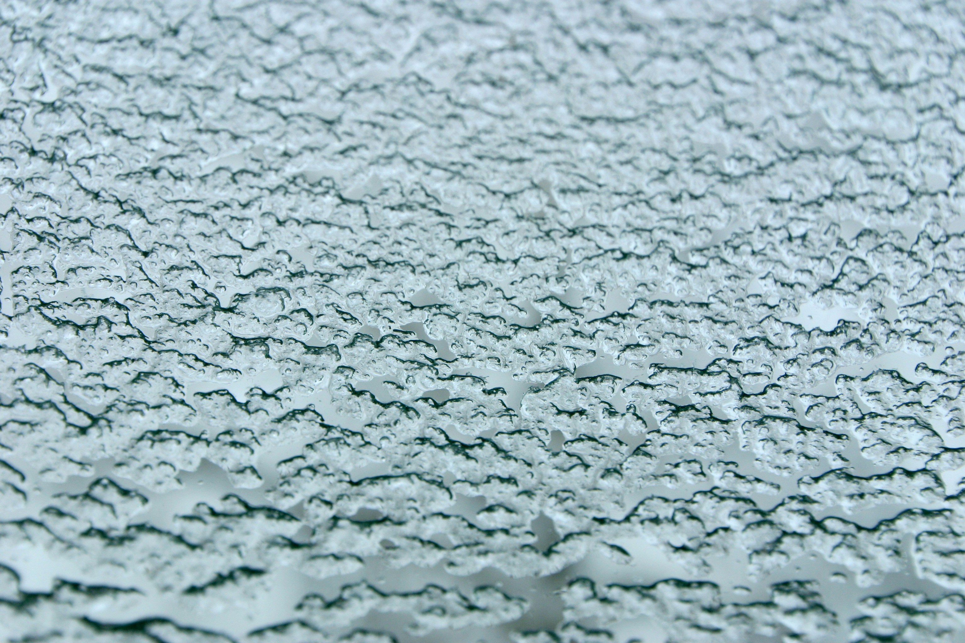 Photo by belka_photo