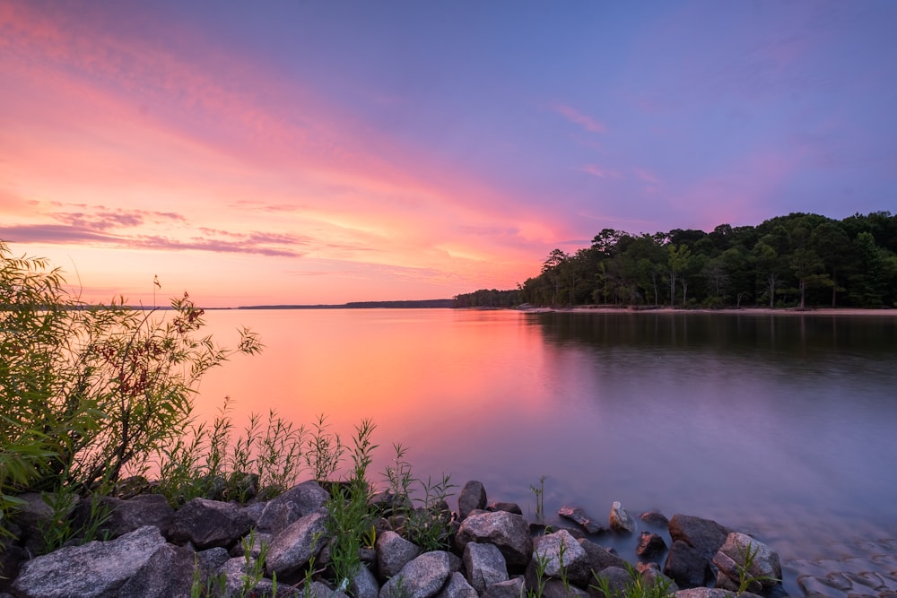 Eau calme près des arbres verts au coucher du soleil