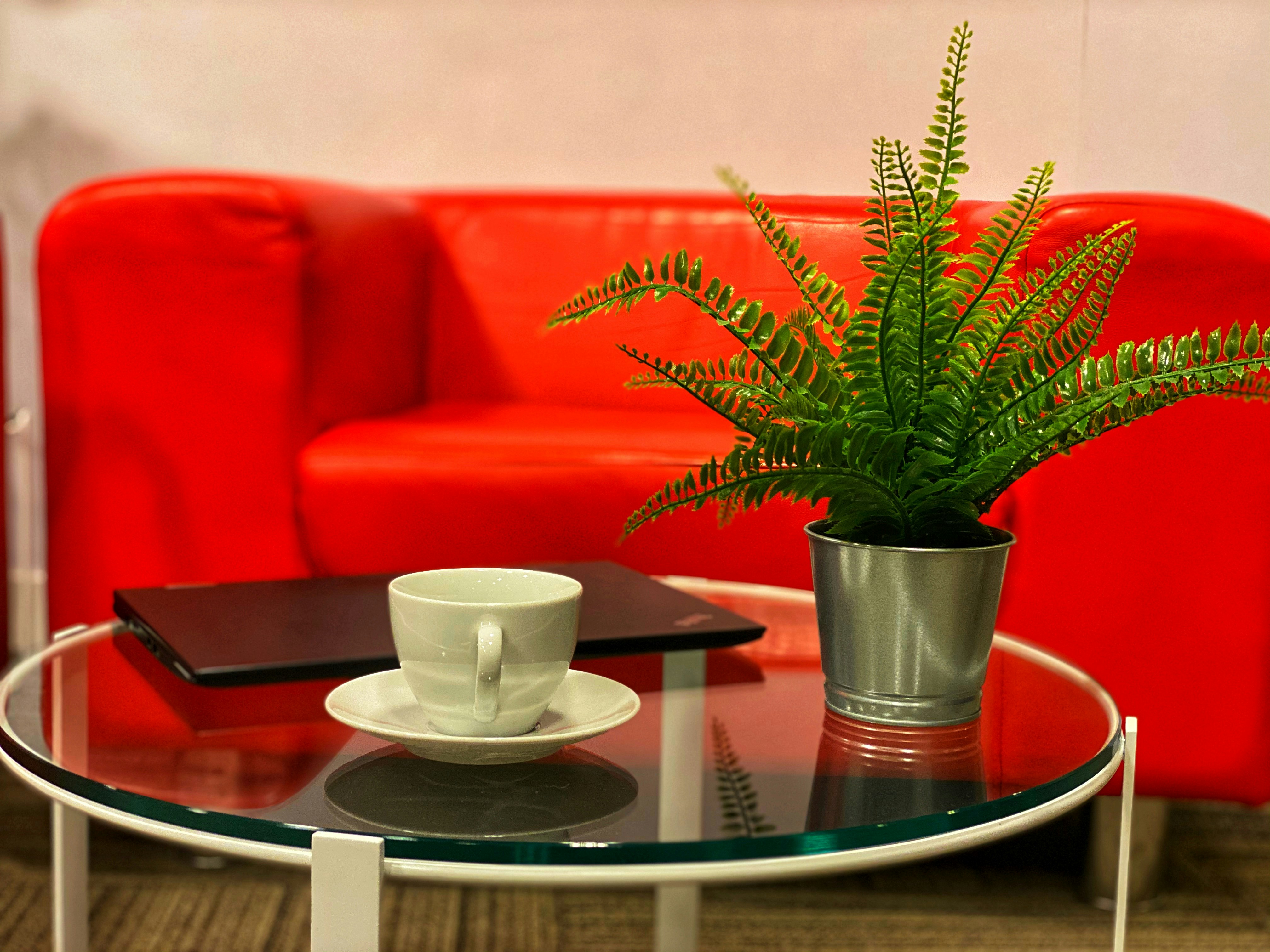 Photo by masarathalkhaili