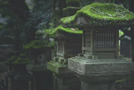 A cozy lantern-lit nook nestled among moss-covered stones and delicate wildflowers.