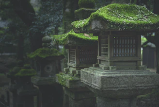 A cozy lantern-lit nook nestled among moss-covered stones and delicate wildflowers.