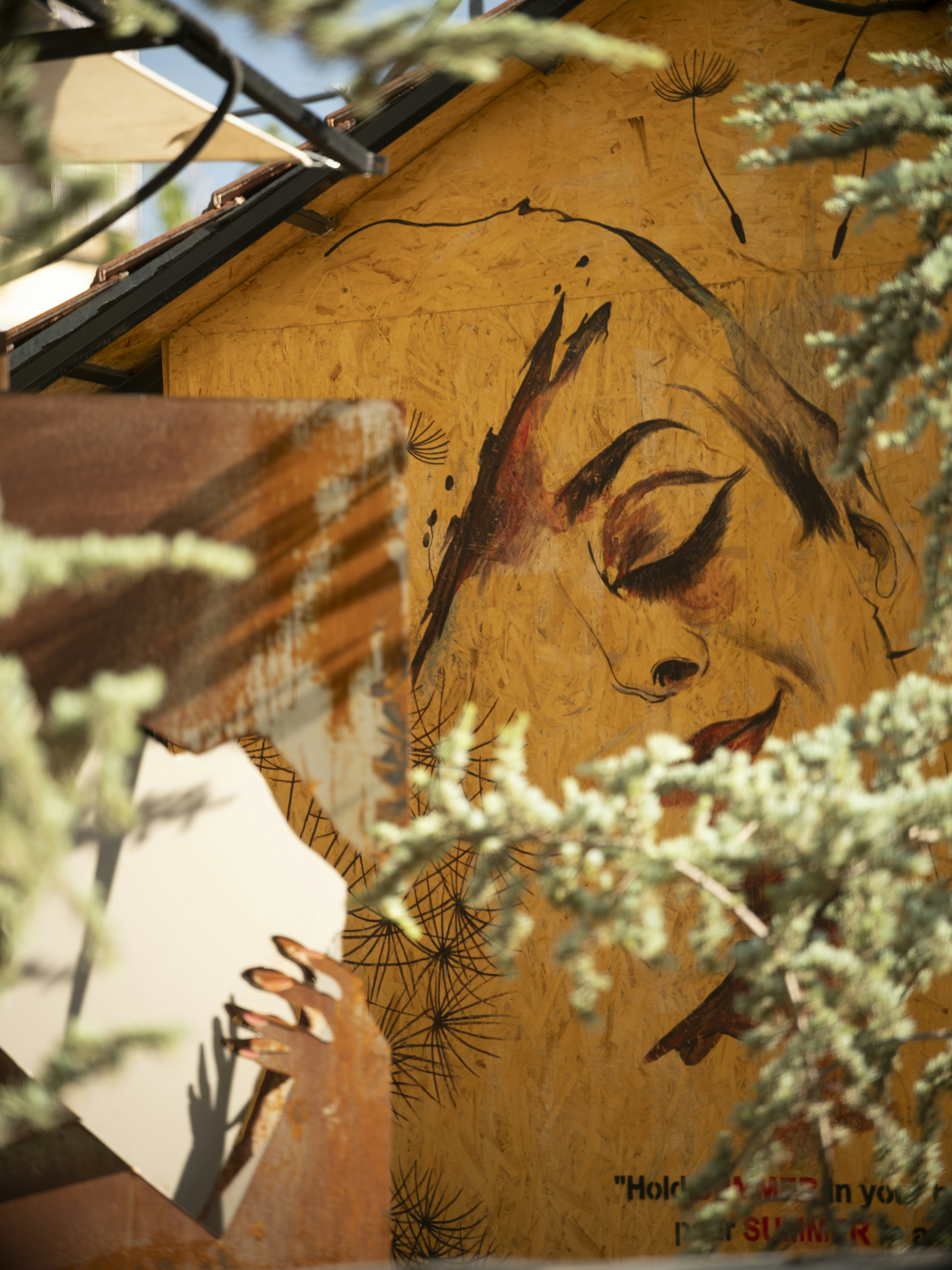 person holding white flowers beside brown wooden wall