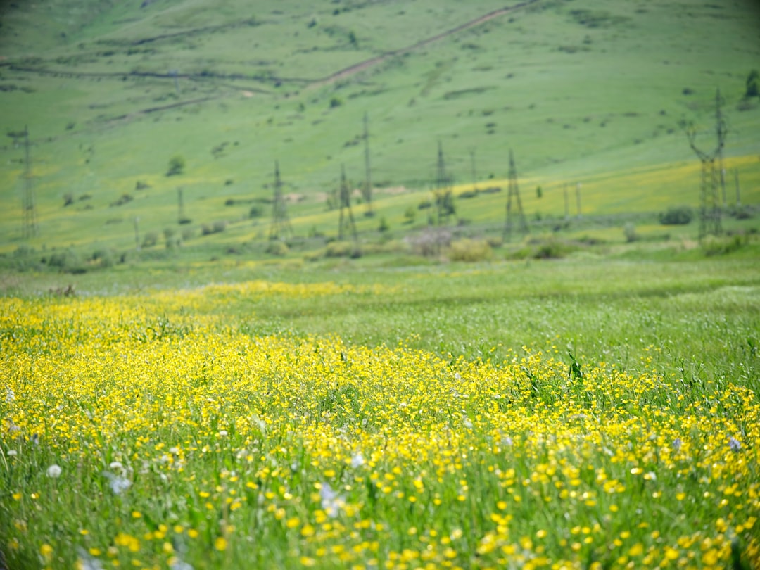 Ecoregion photo spot Sevan Armenia