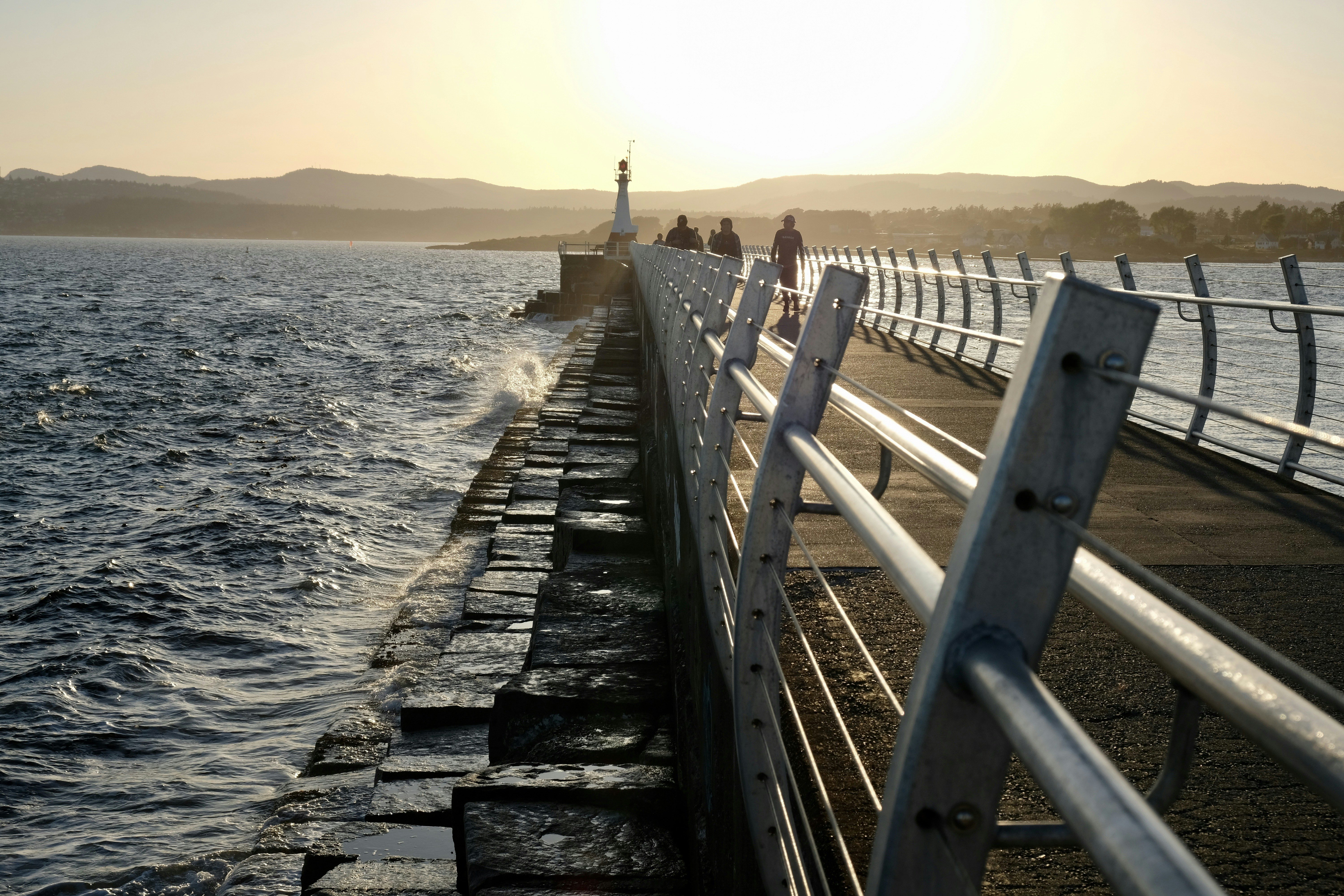 graues Holzdock auf See tagsüber