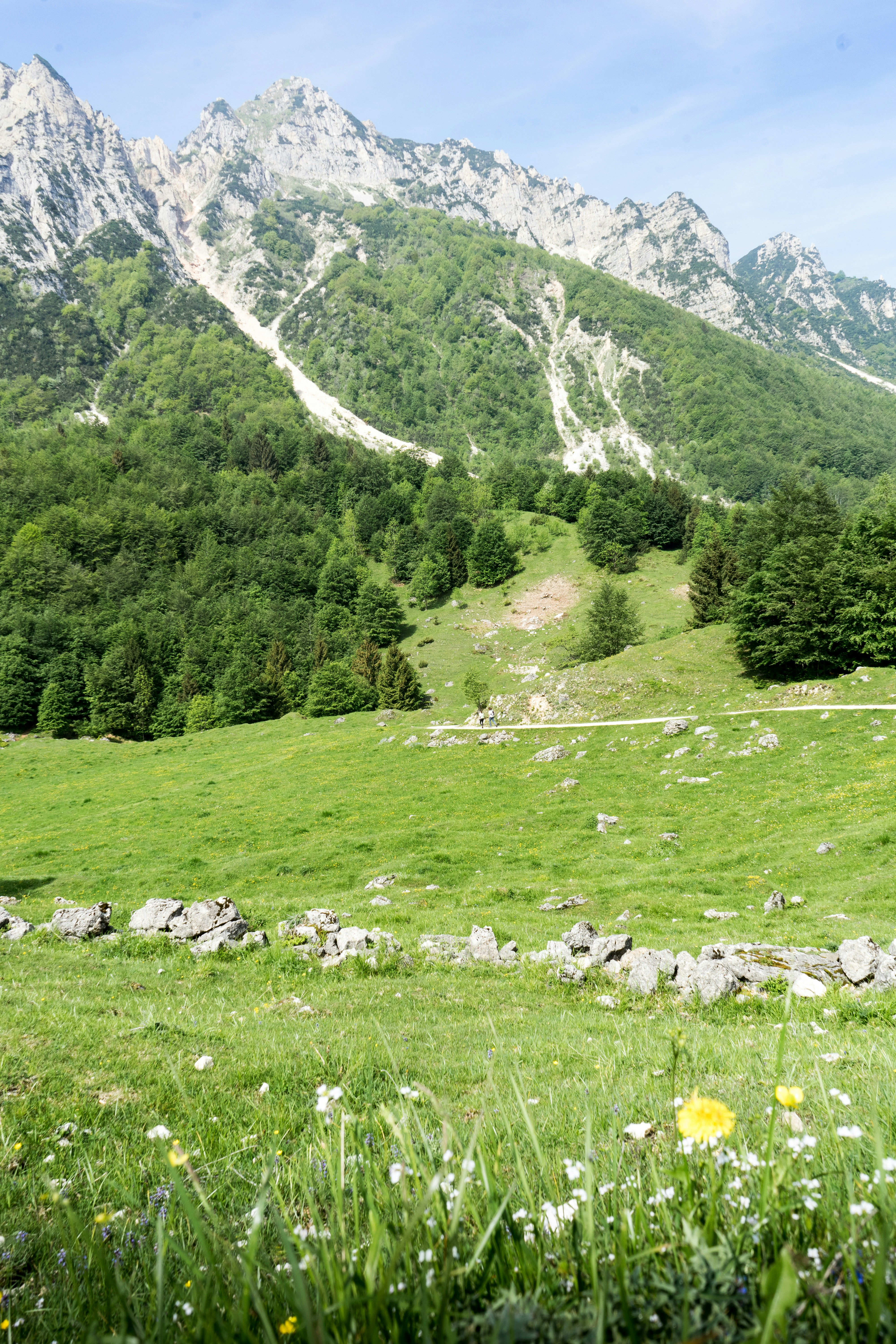 Photo by gritsngiggles