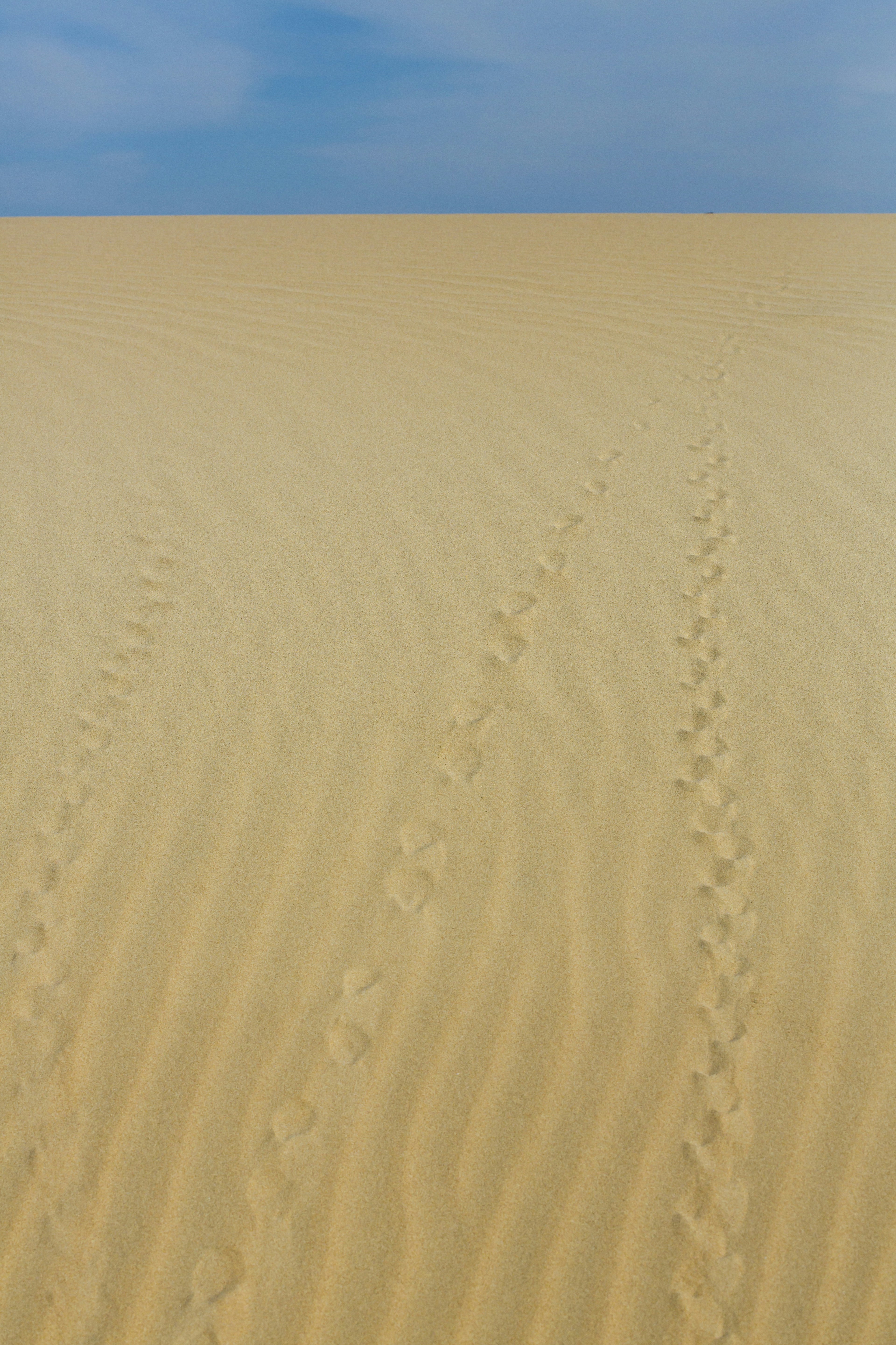 Photo by charl_durand