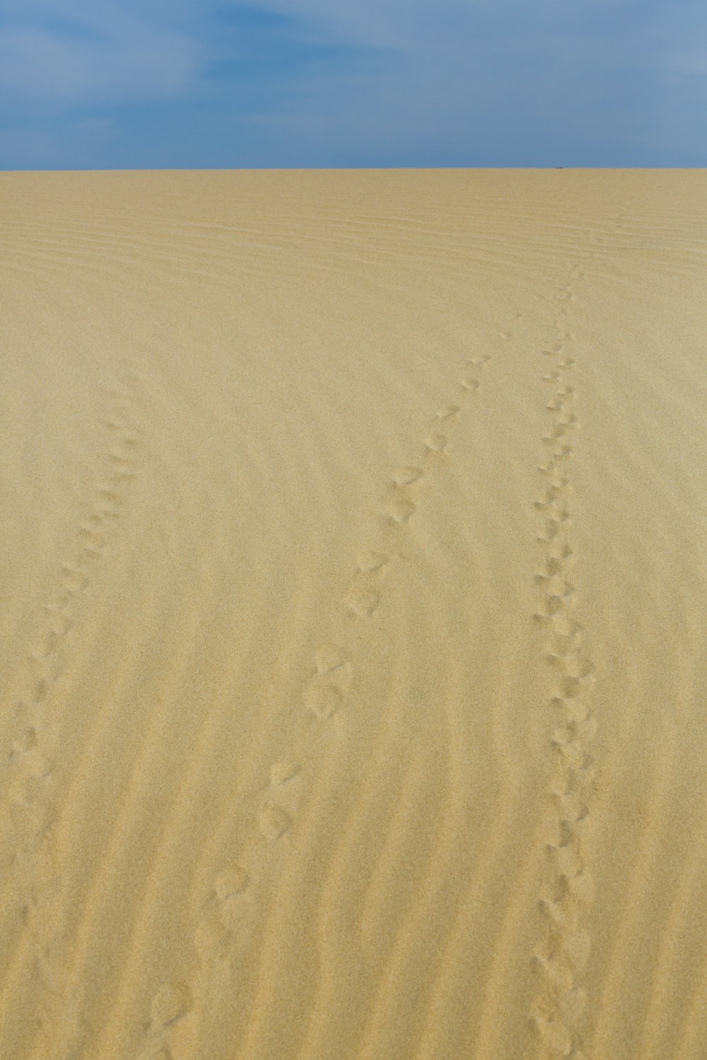 brown sand field during daytime