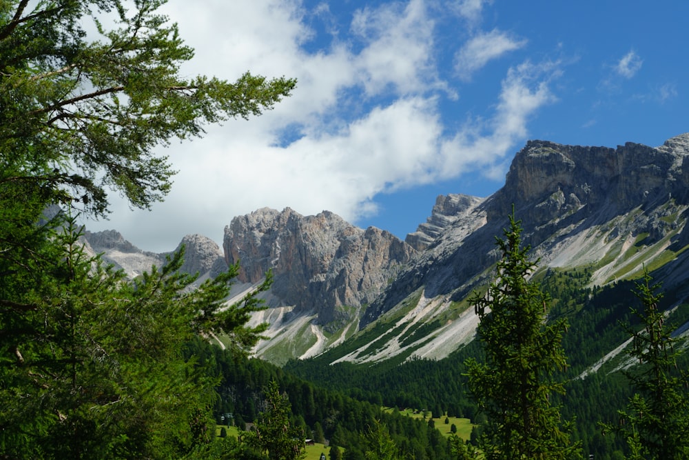 green trees near mountain under white clouds and blue sky during daytime