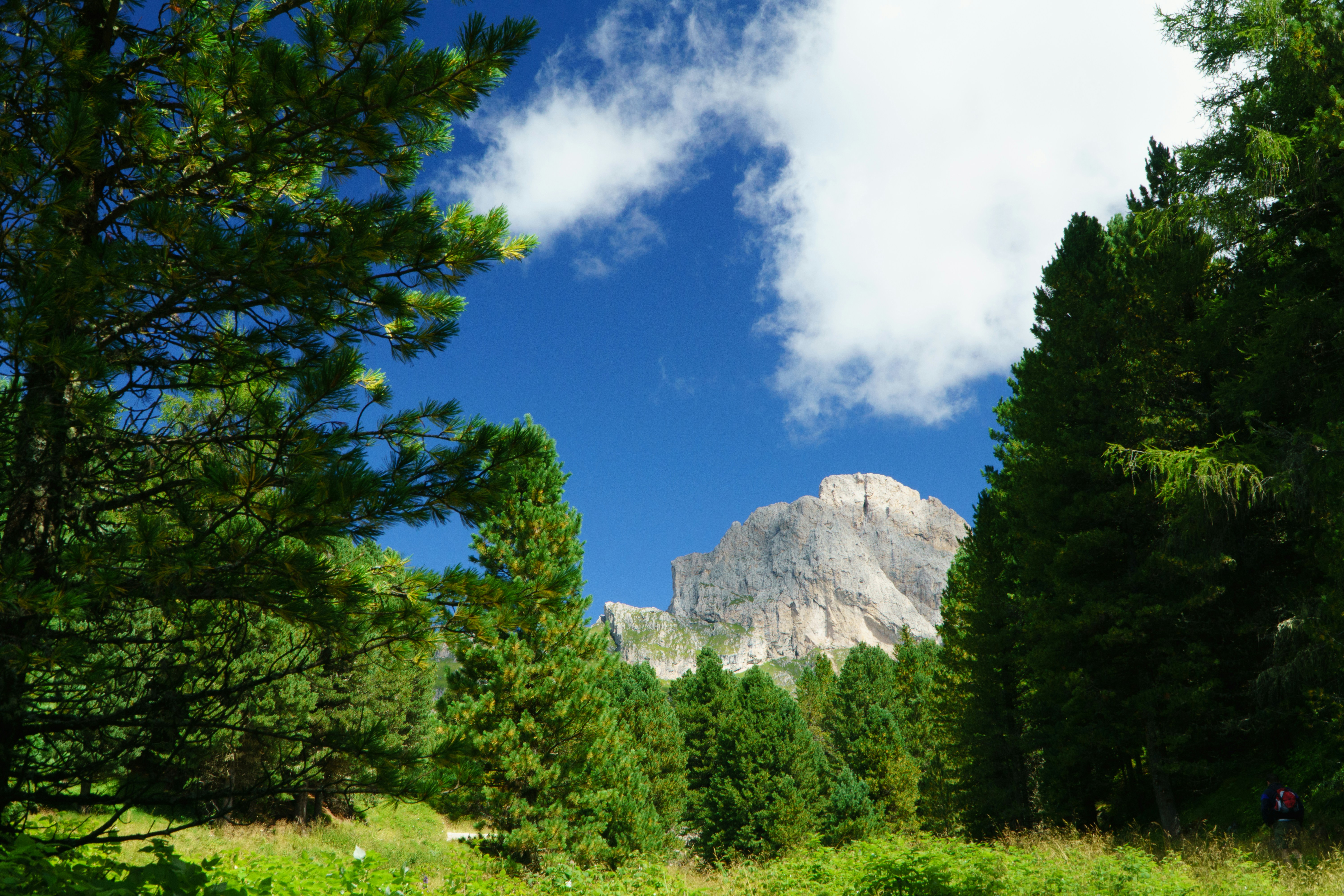 Photo by alexanderhorl