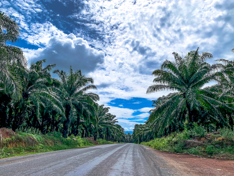 Best Time to Visit Sihanoukville: Month-by-Month Guide for Every Type of Traveller