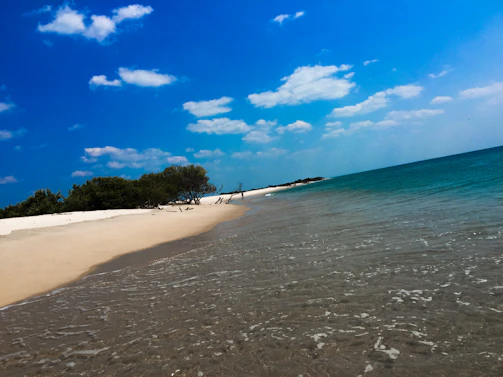 A serene beach scene with green trees and a clear blue sky reflecting the spirit of renewal.