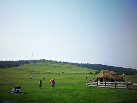 people on green grass field during daytime in Dalian China