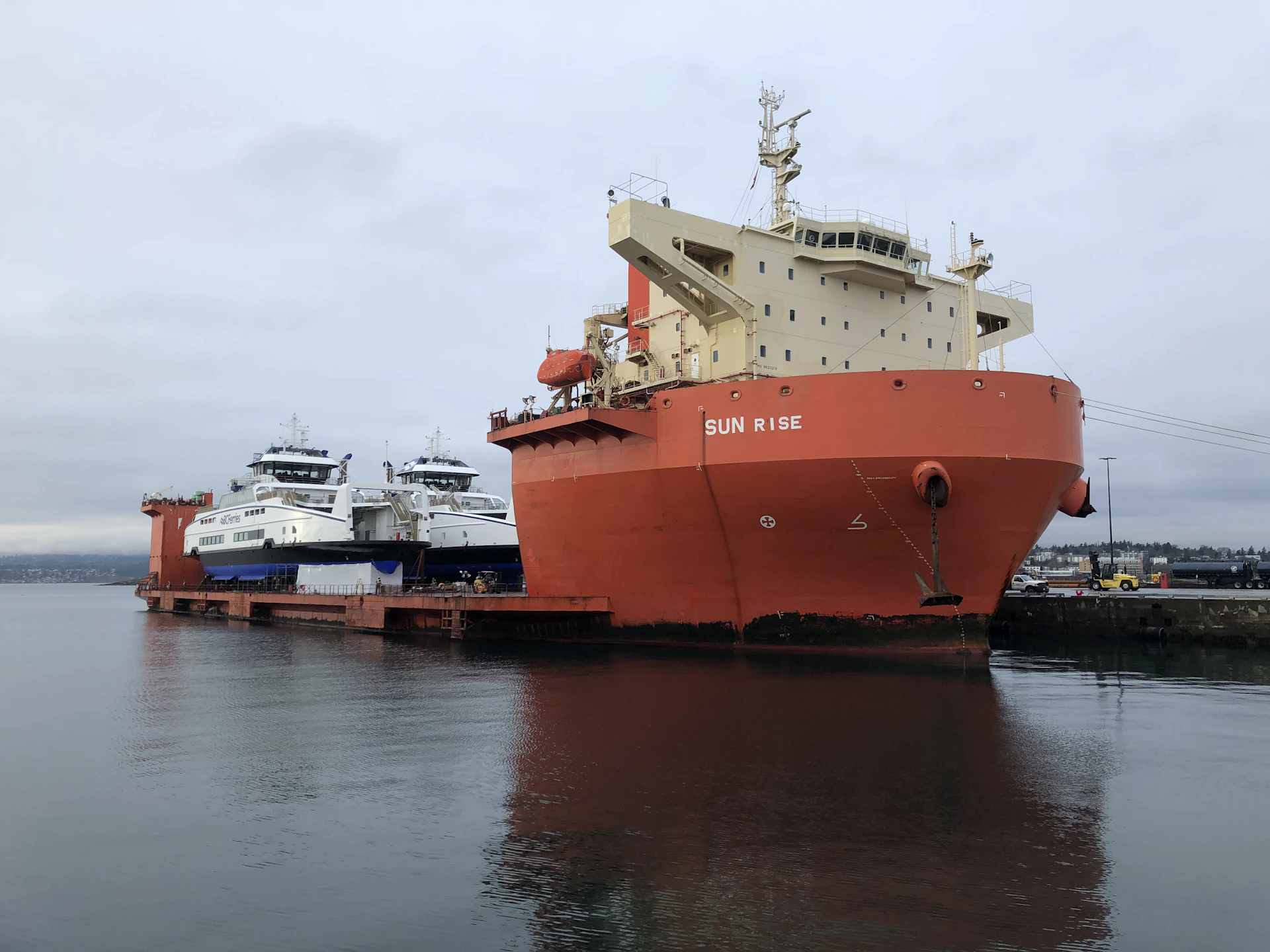 red and white ship on sea during daytime