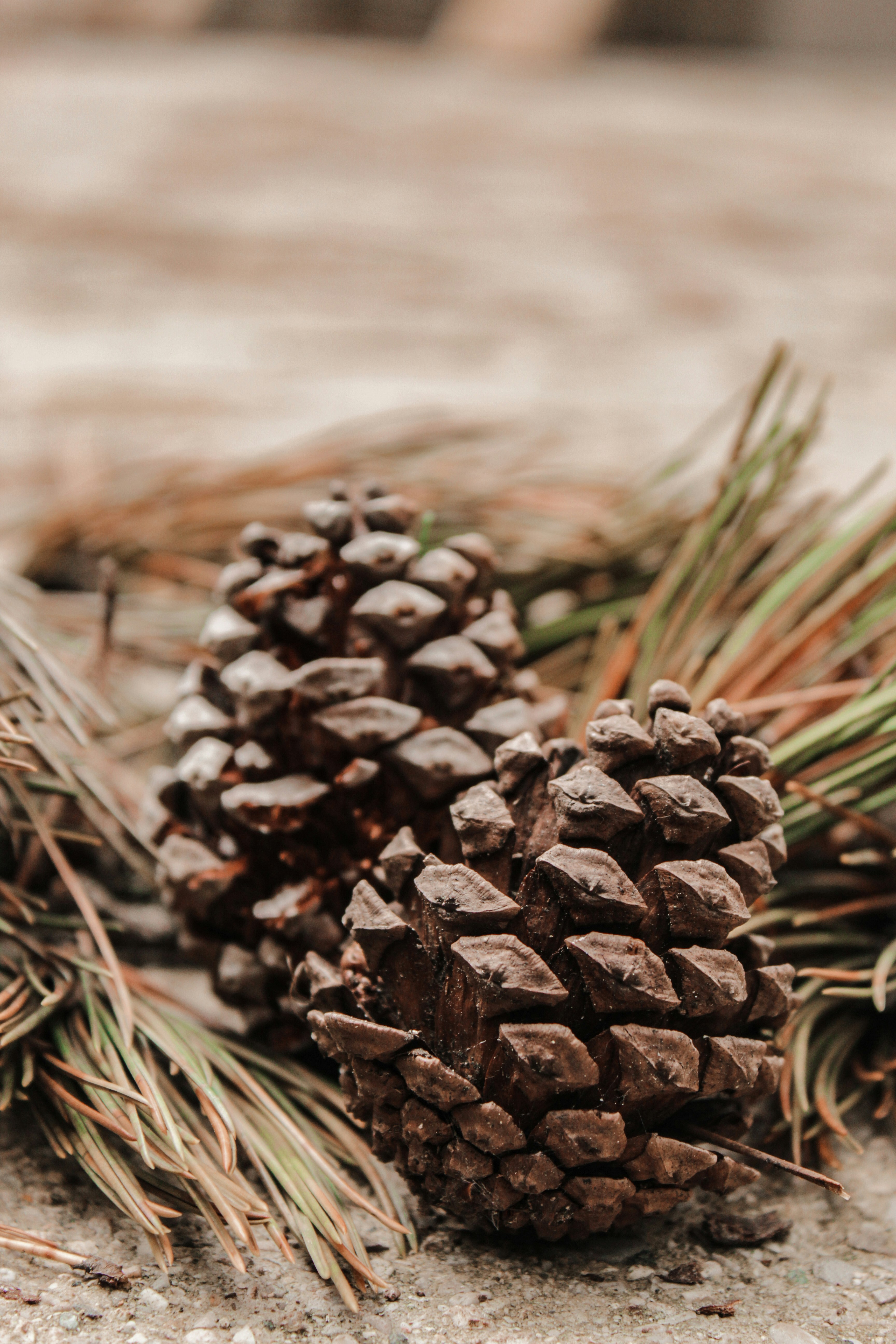 Photo by lensensational