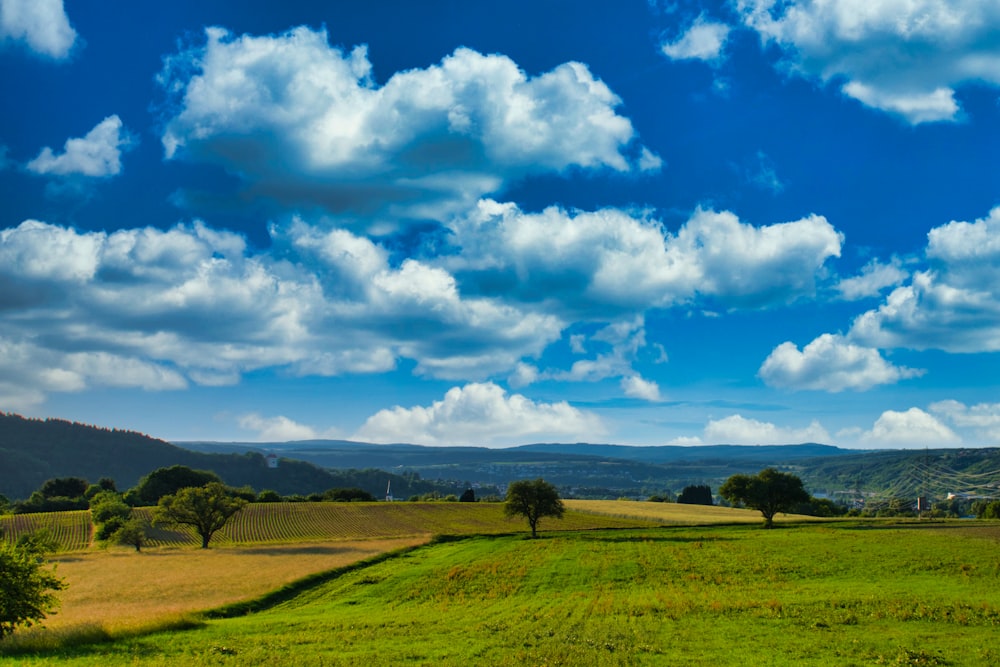 green grass field under blue sky and white clouds during daytime