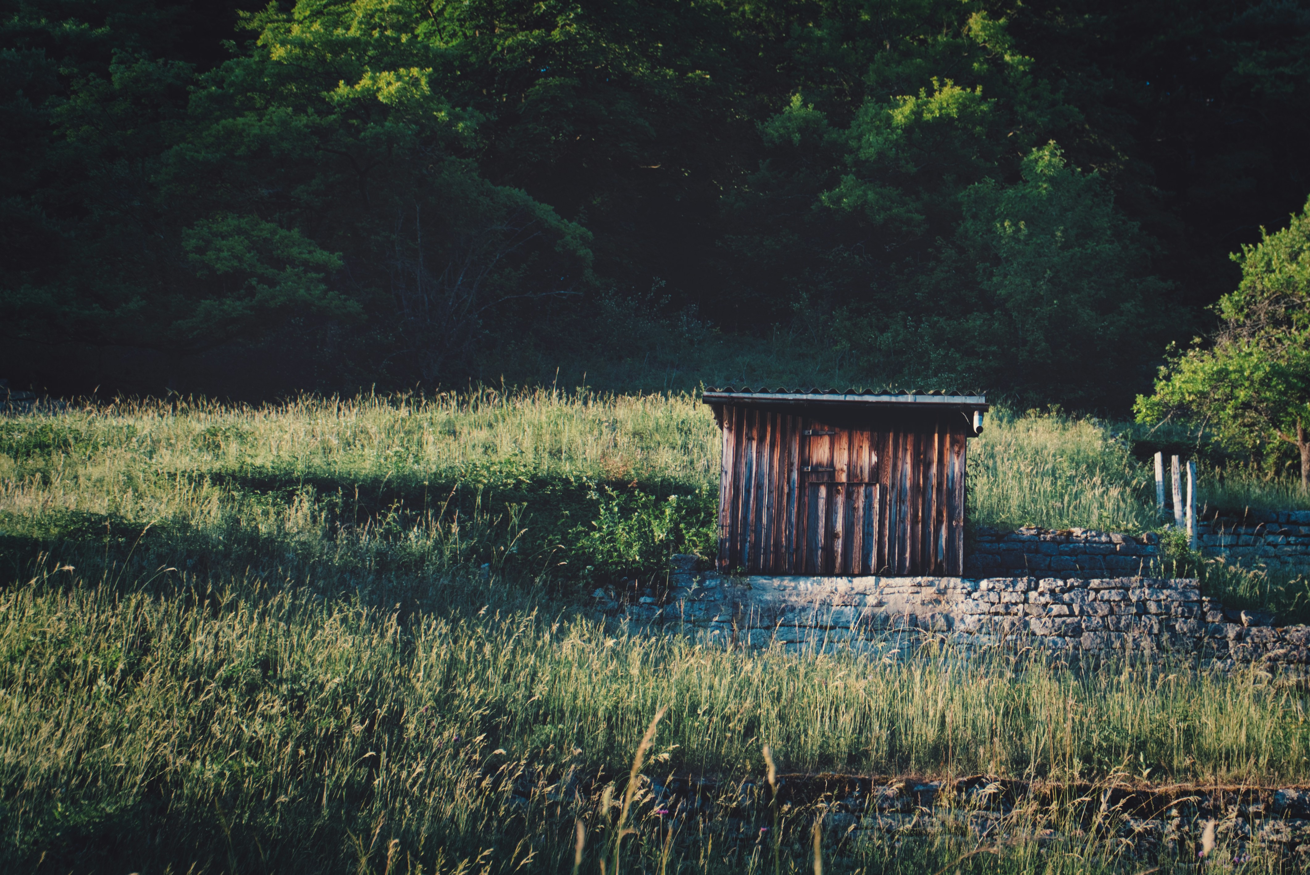 Photo by masoodaslami