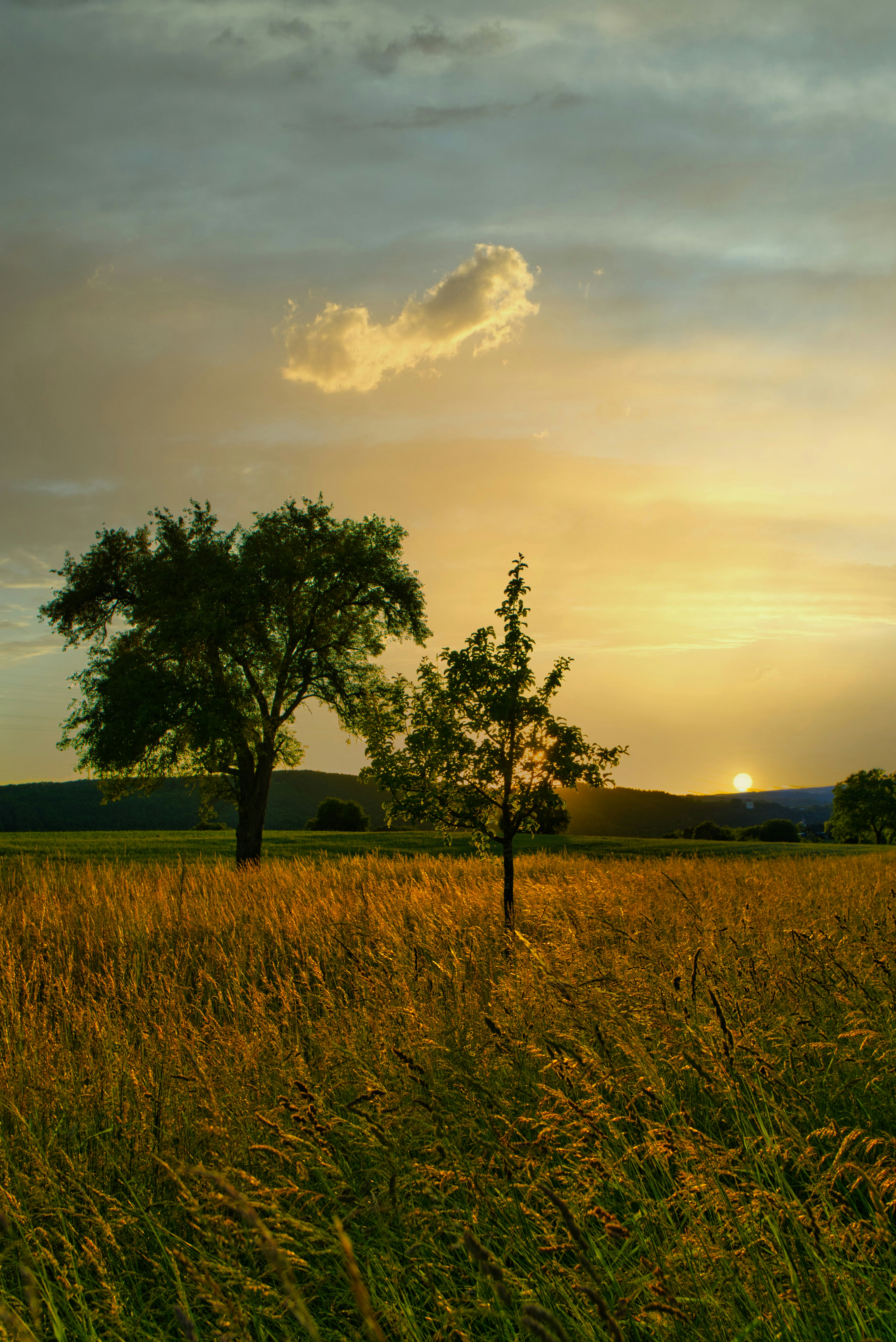 Photo by masoodaslami